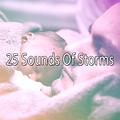 25 Sounds Of Storms