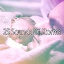 25 Sounds Of Storms专辑