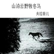 山泊云野牧冬马