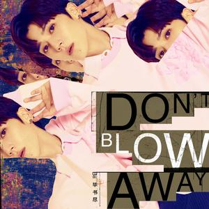 毕书尽 Bii - Don't Blow Away(原版立体声伴奏)