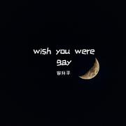 wish you were gay(弹唱）