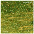 专辑《Natural Light》