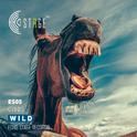 Wild (Original Mix)专辑