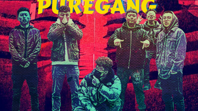 純派PUREGANG