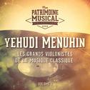 Les grands violonistes de la musique classique : Yehudi Menuhin, Vol. 1专辑