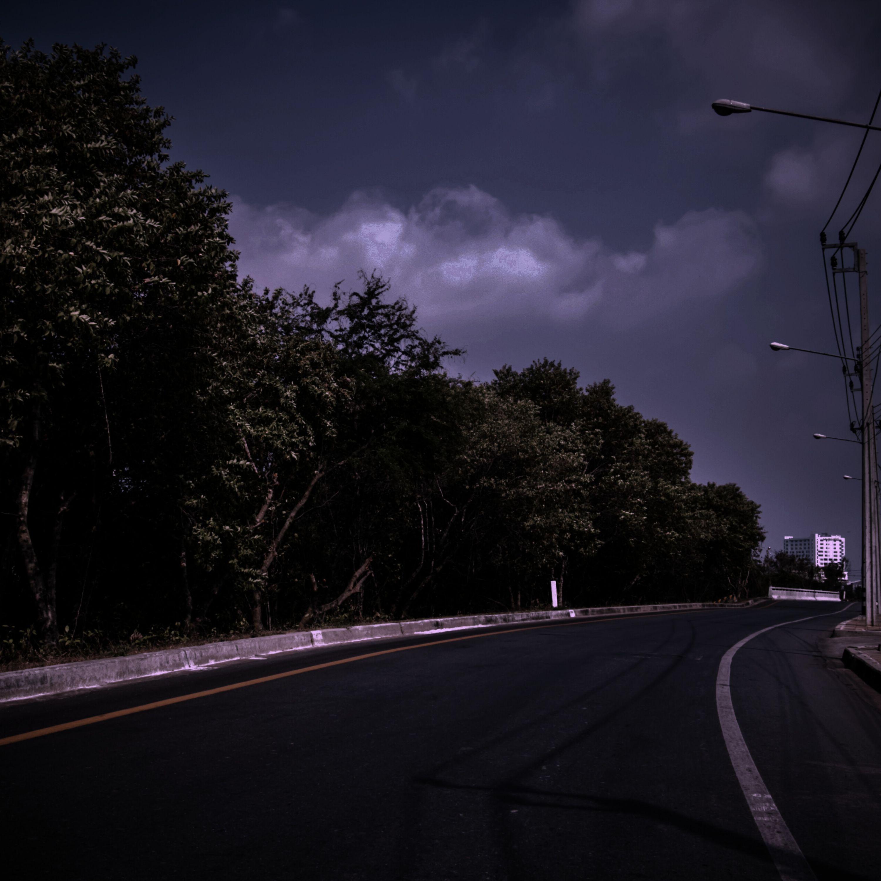 Crickets Chirping in the Moonlight