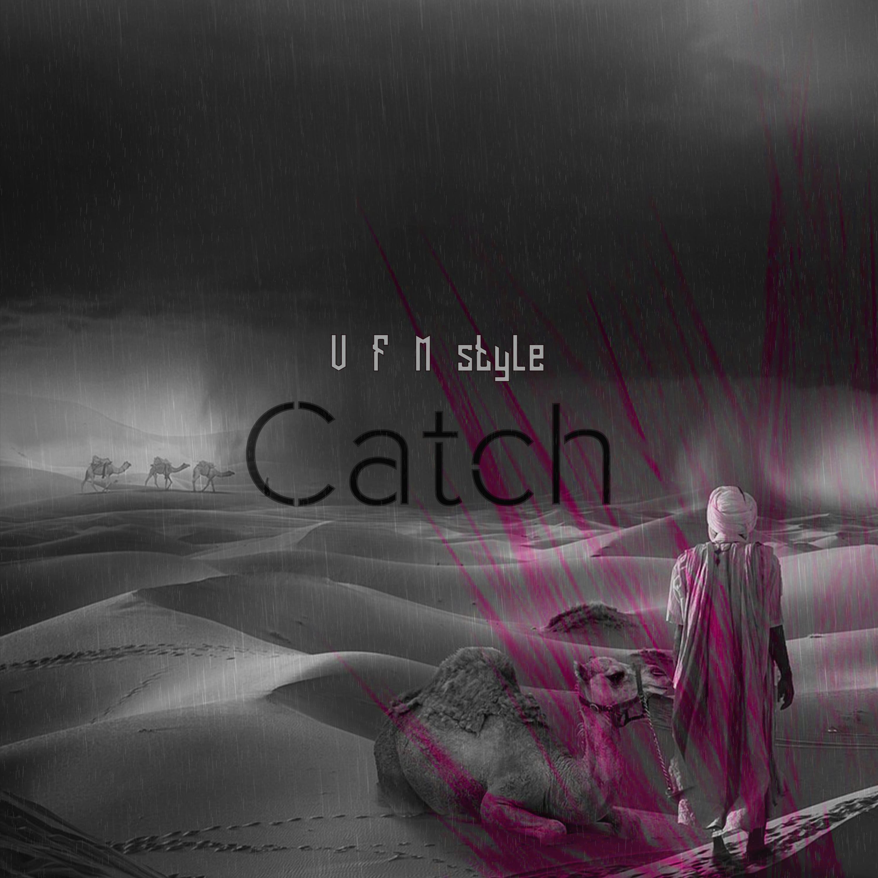 V.F.M.style - Catch (VIP)