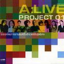 A:Live Project 01