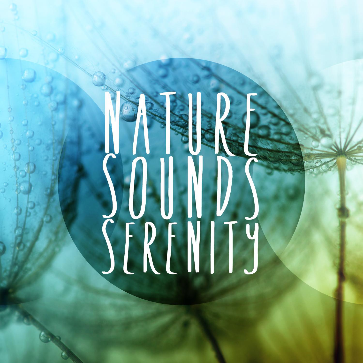 Nature Sounds - Serenity专辑