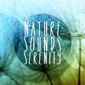 Nature Sounds - Serenity专辑