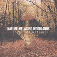 Nature: Relaxing Woodlands
