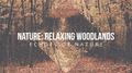 Nature: Relaxing Woodlands专辑