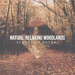 Nature: Relaxing Woodlands专辑