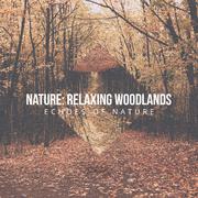 Nature: Relaxing Woodlands
