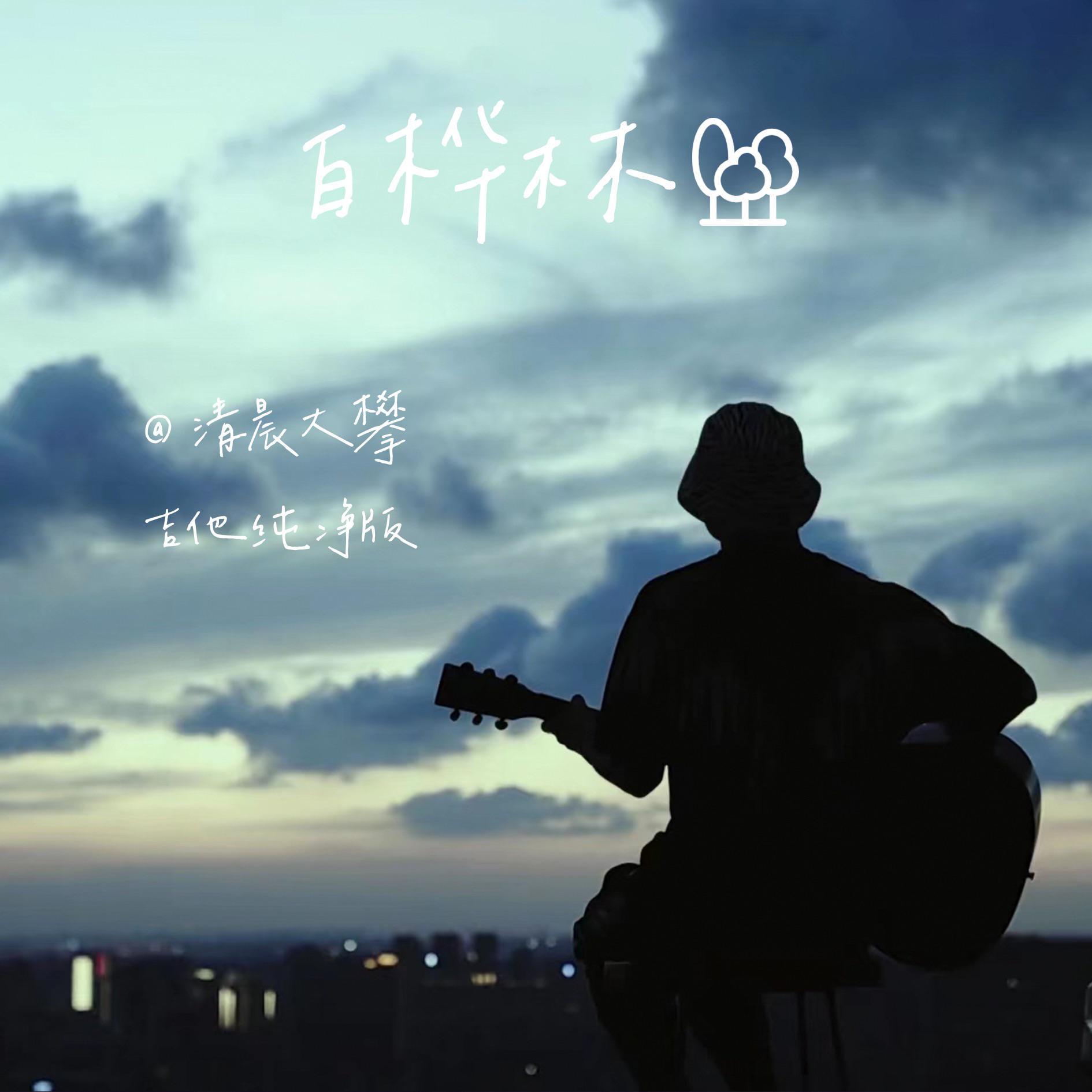 白桦林