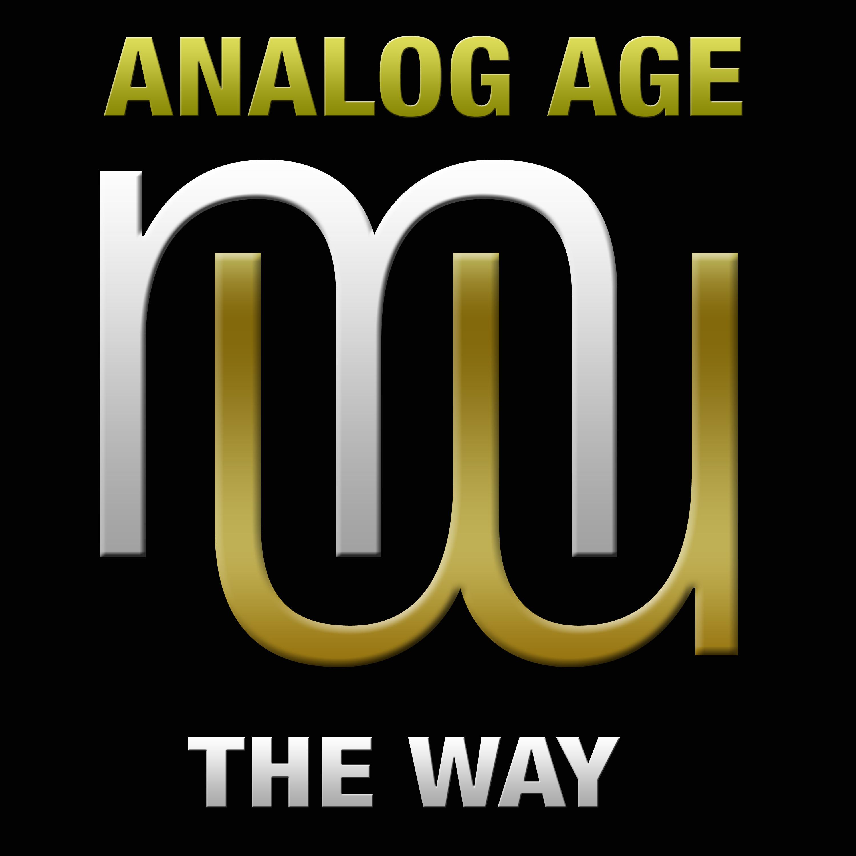 Analog Age - The Way (Radio Edit)