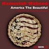 Kameelah Waheed - America the Beautiful (Without Guitar)