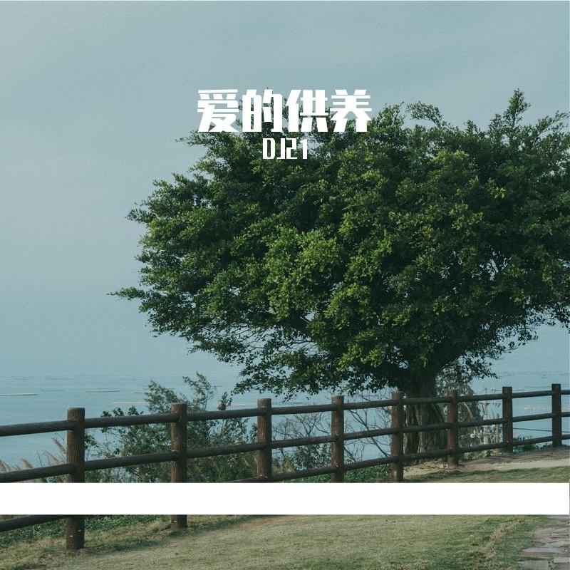 爱的供养（DJ21野狼语录版）