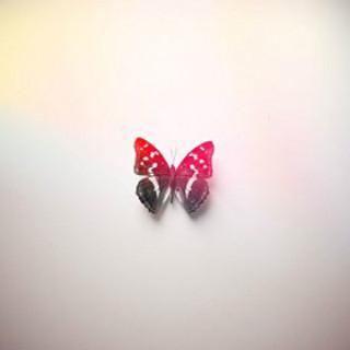 Young Alaska Remixes