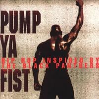DMX - Pump Ya Fist (instrumental)