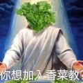 香菜菜的翻唱谱