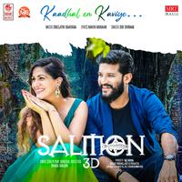 Sid Sriram - Kaadhal En Kaviye (From Salmon 3D) (BB Instrumental) 无和声伴奏