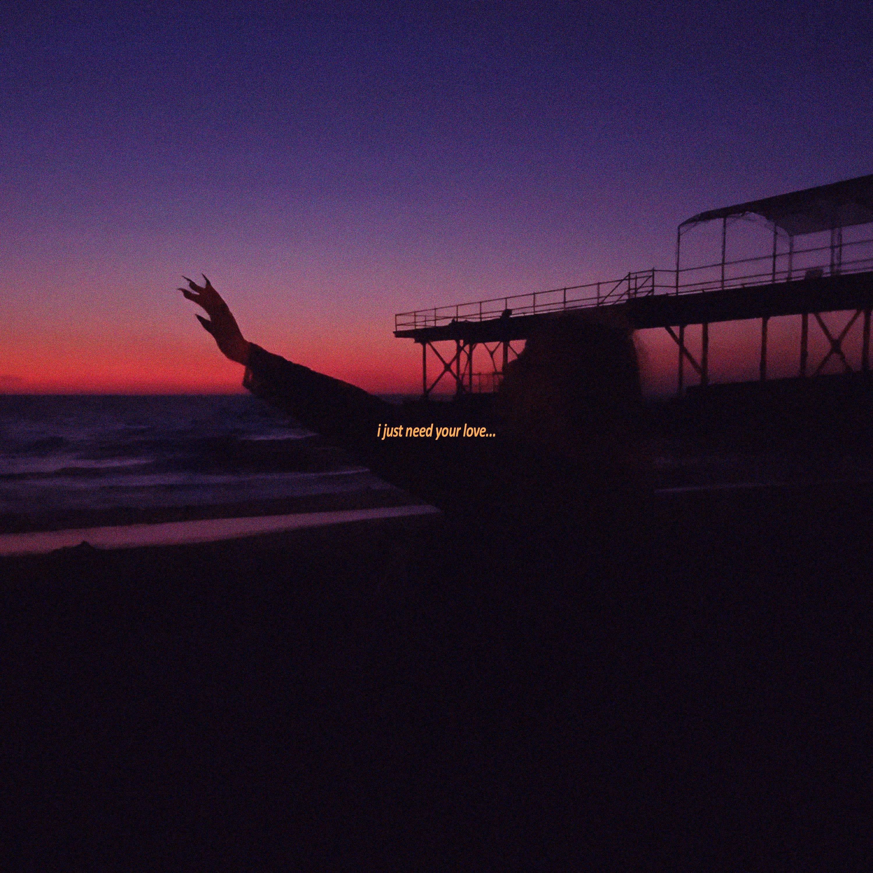 i just need your love