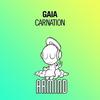 Carnation (Radio Edit)