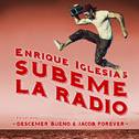 SUBEME LA RADIO (Remix)专辑