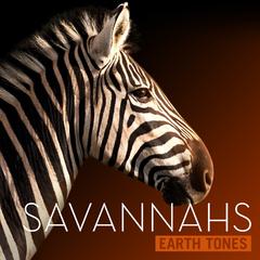 Earth Tones: Savannahs