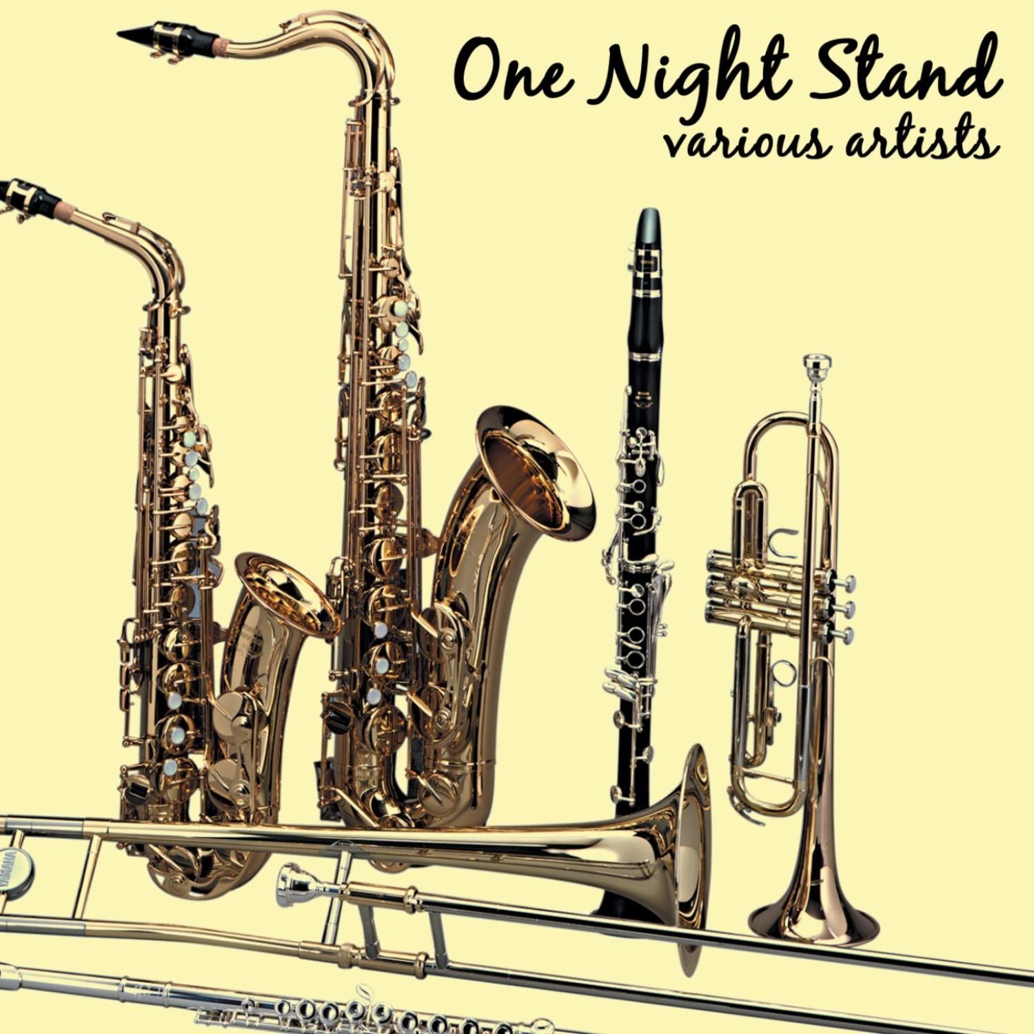 One Night Stand