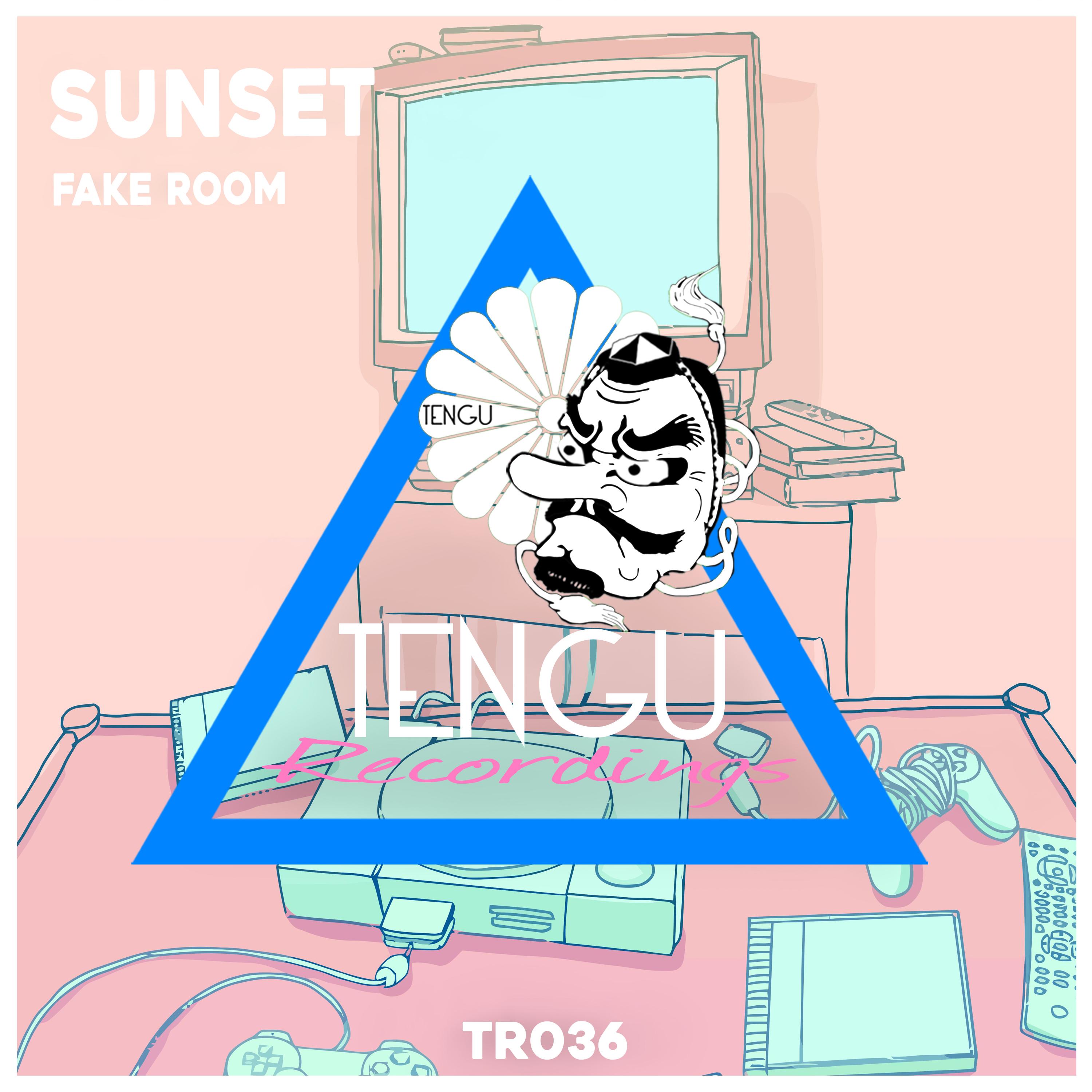 Fake Room