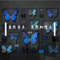 我今灵魂有盼望有去向(申士编曲)