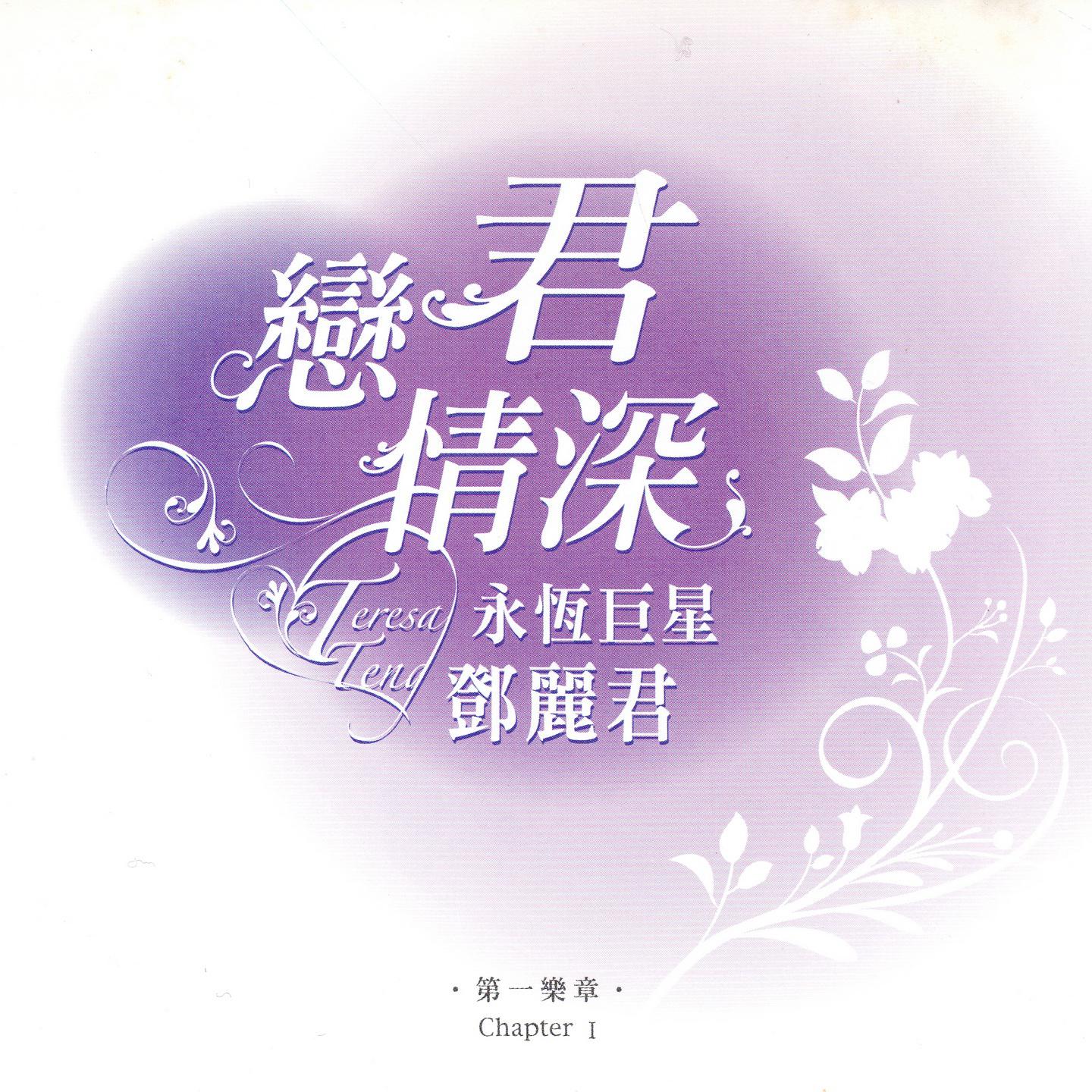 恋君情深 永恒巨星 邓丽君 第一乐章