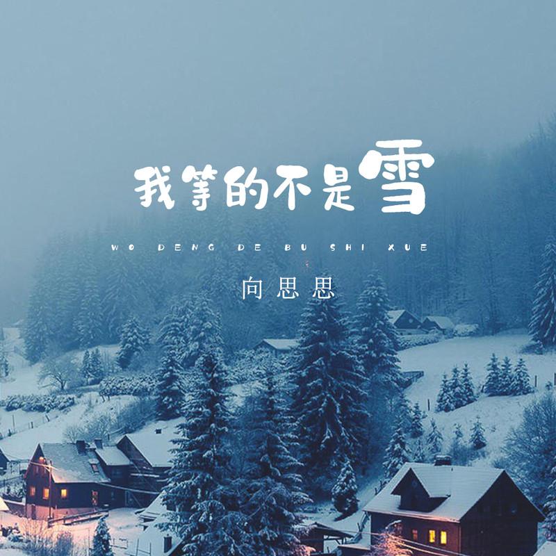 向思思歌曲封面