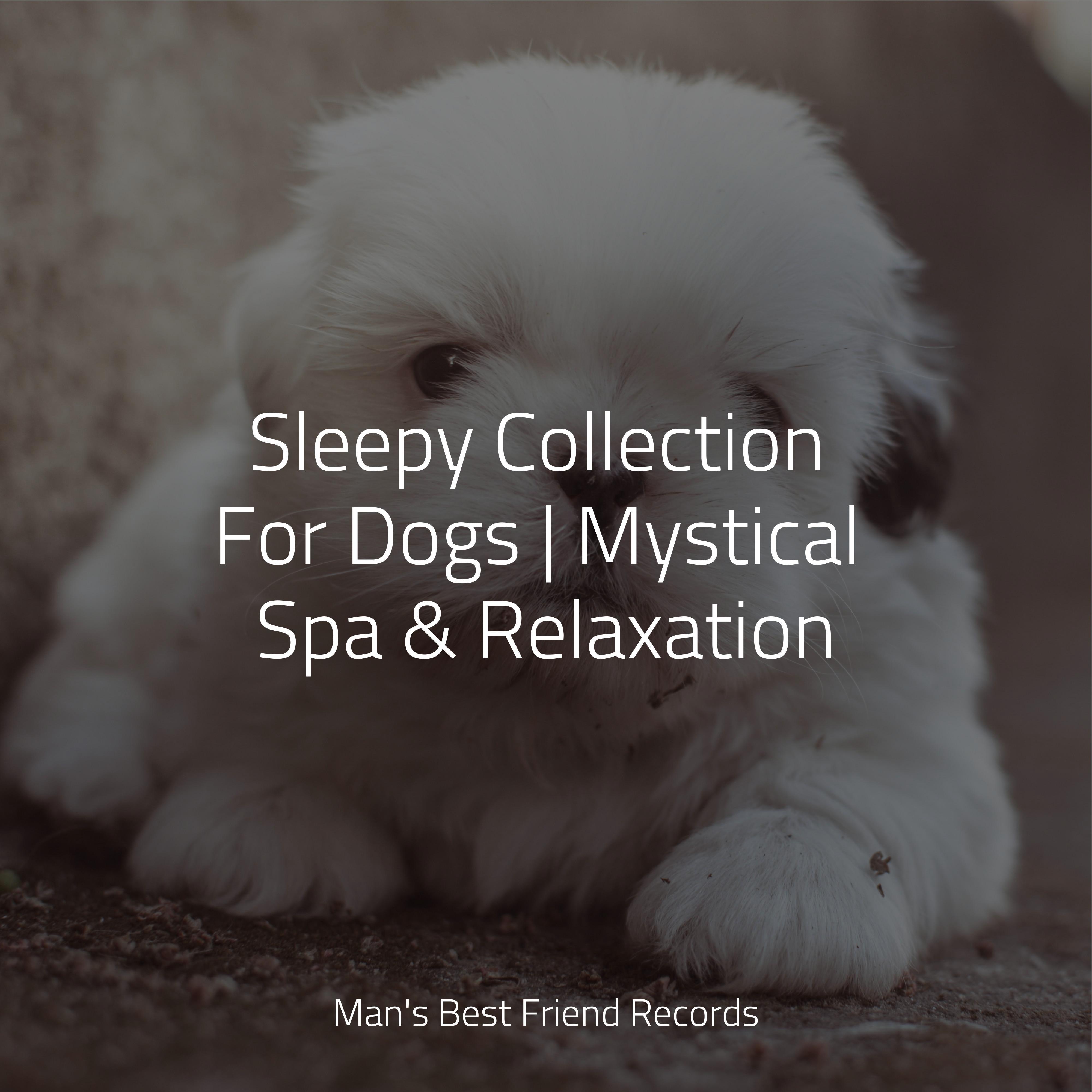 Music For Dogs Peace - Wellbeing
