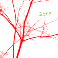 Bard