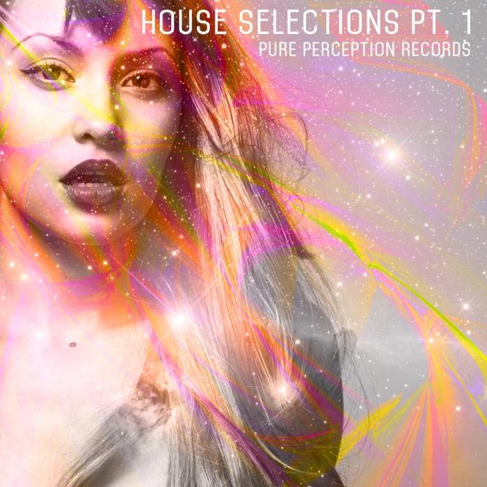 House Selections pt. 1 V/A