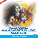 Mahamritunjaya Mantra专辑