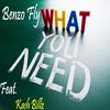 King Benzo - What You Need (feat. Kash Billz)