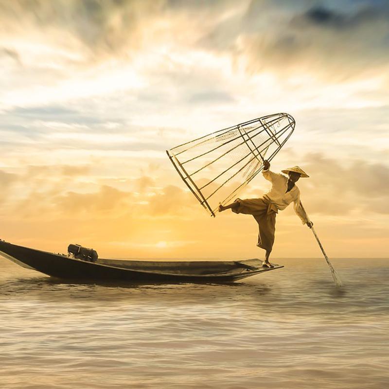 fisher