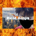 real ninja（真·忍者）