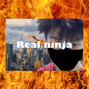 real ninja（真·忍者）专辑