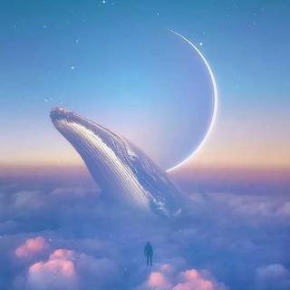 纯音｜睡梦轻轻，满天星星