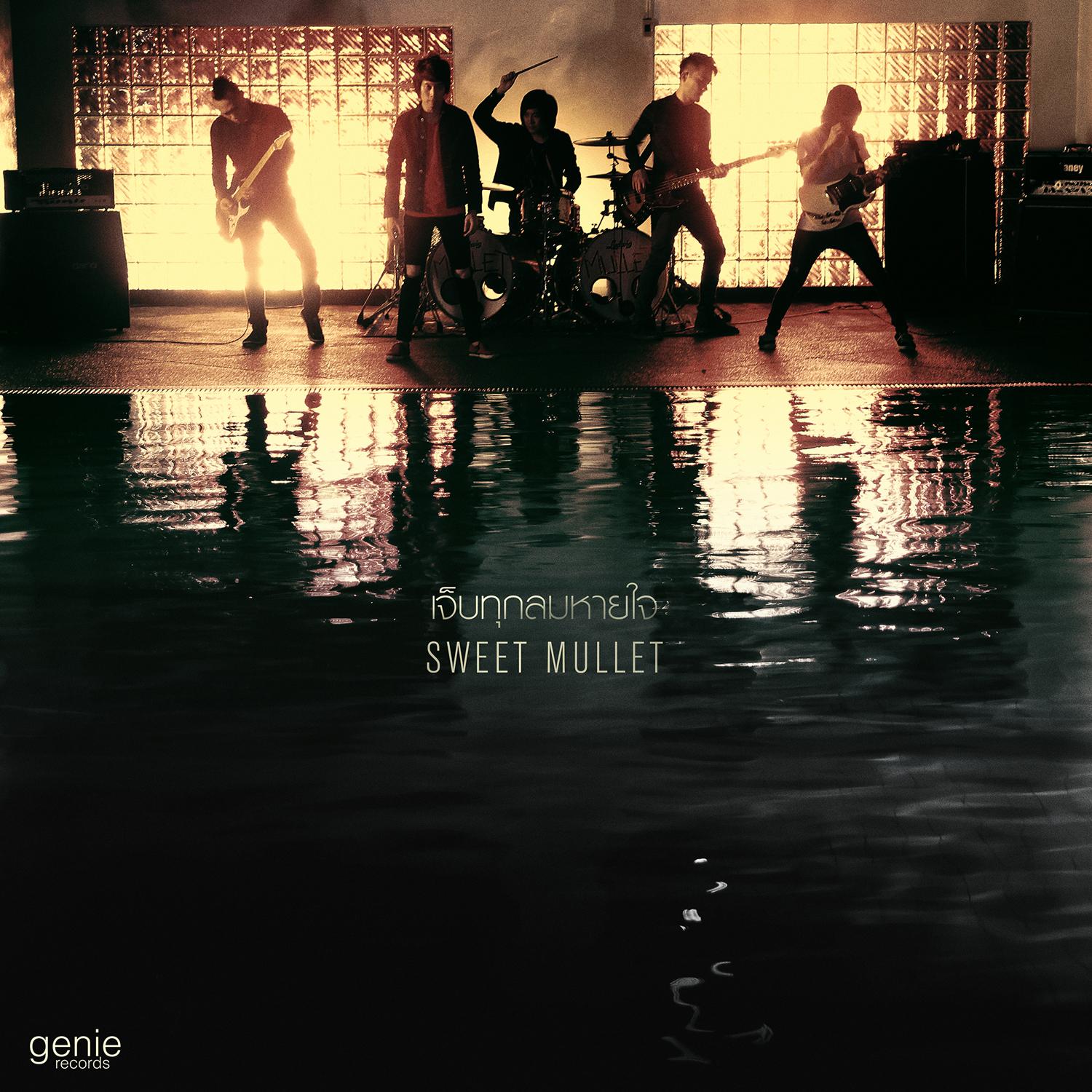 Sweet Mullet (New Single 2013)专辑