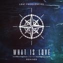 What Is Love 2016 (Extended Remixes)专辑