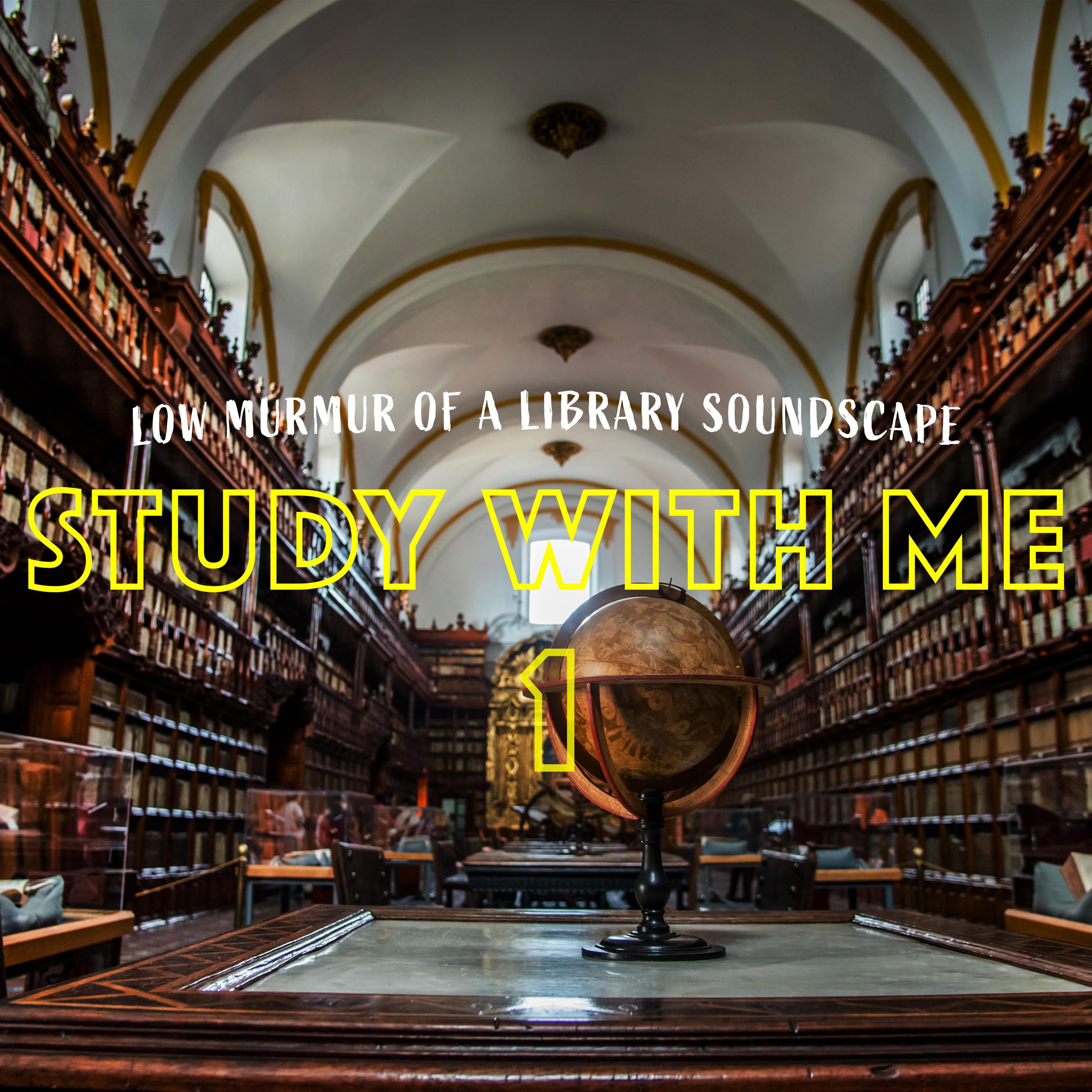 Sound Scape Library Low Murmur of a Library Soundscape, Pt. 19 - Bryan Maxwell - εζ² - η½ζδΊι³δΉ
