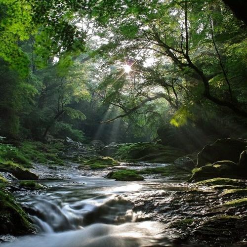 River Flows In You (SizzleBird Remix)