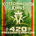 420 Freedom Sampler专辑