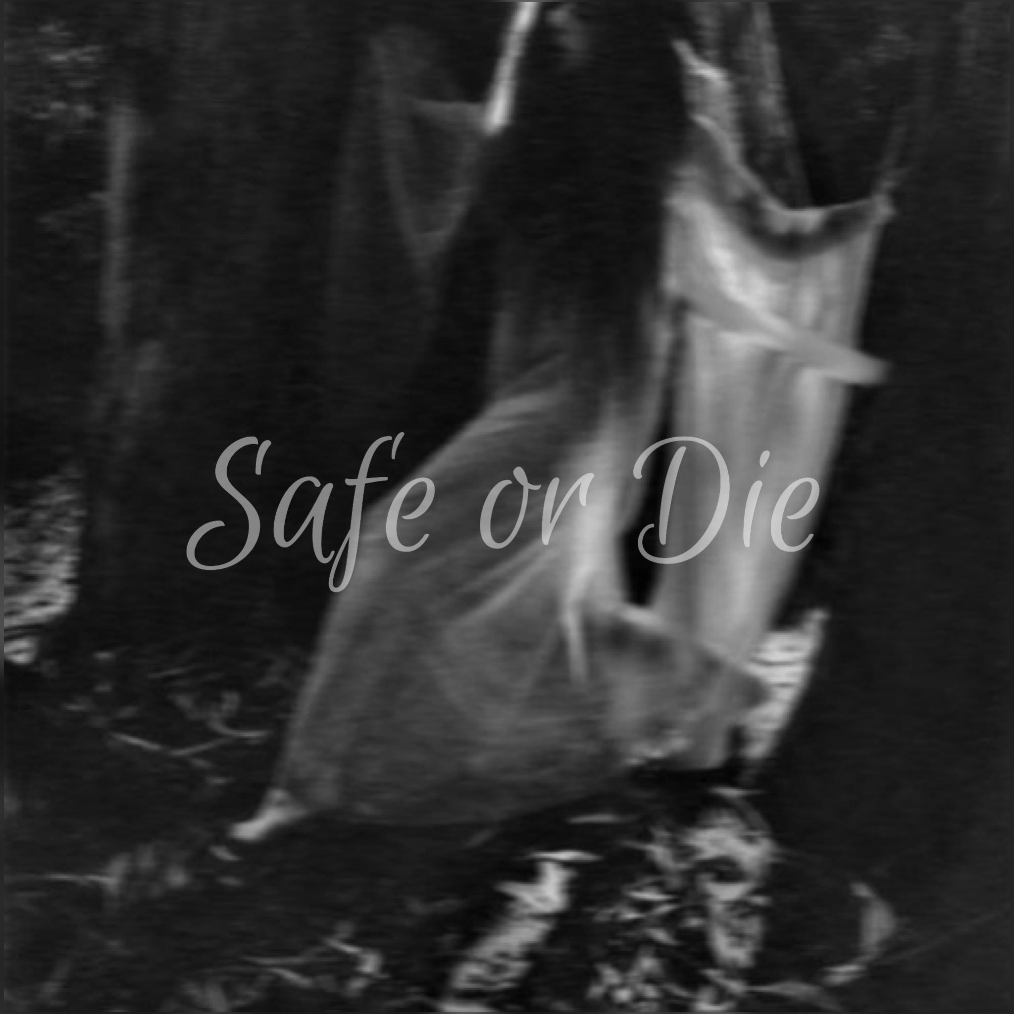 Safe or Die专辑